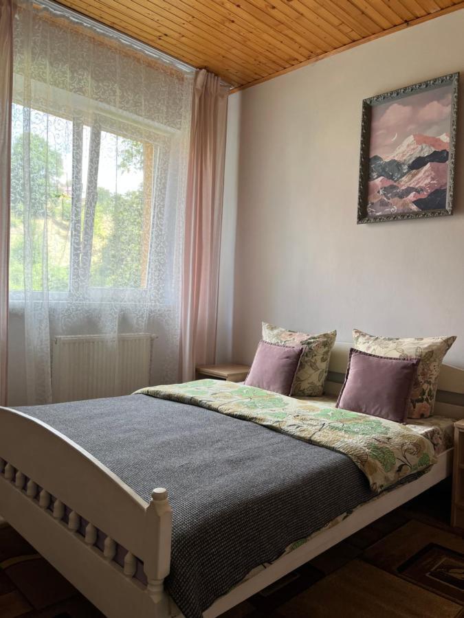 Ніч Над Карпатами Hotel Slavske Exterior photo